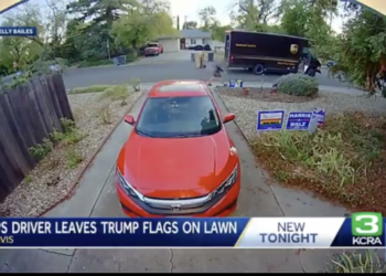 UPS Driver Under Investigation After Leaving Trump Signs on Customer's Lawn
